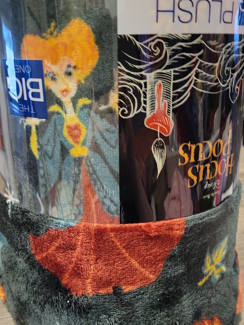 Hocus Pocus * Oversized Throw, NWT / RARE - Picture 6 of 8